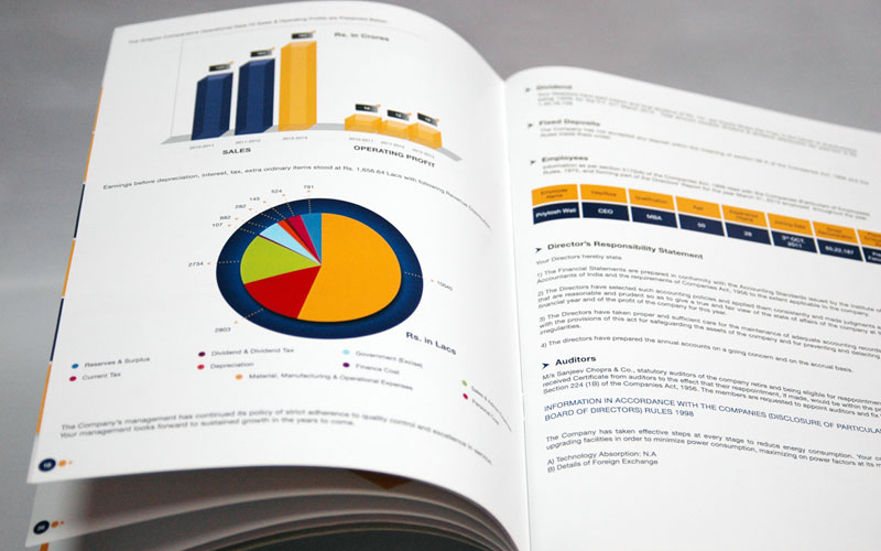 Creativechord designs Gallrey Methodex Annual Report Graph Flip